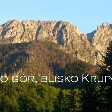 Willa Otulina Pod Giewontem Zakopane Exteriör bild