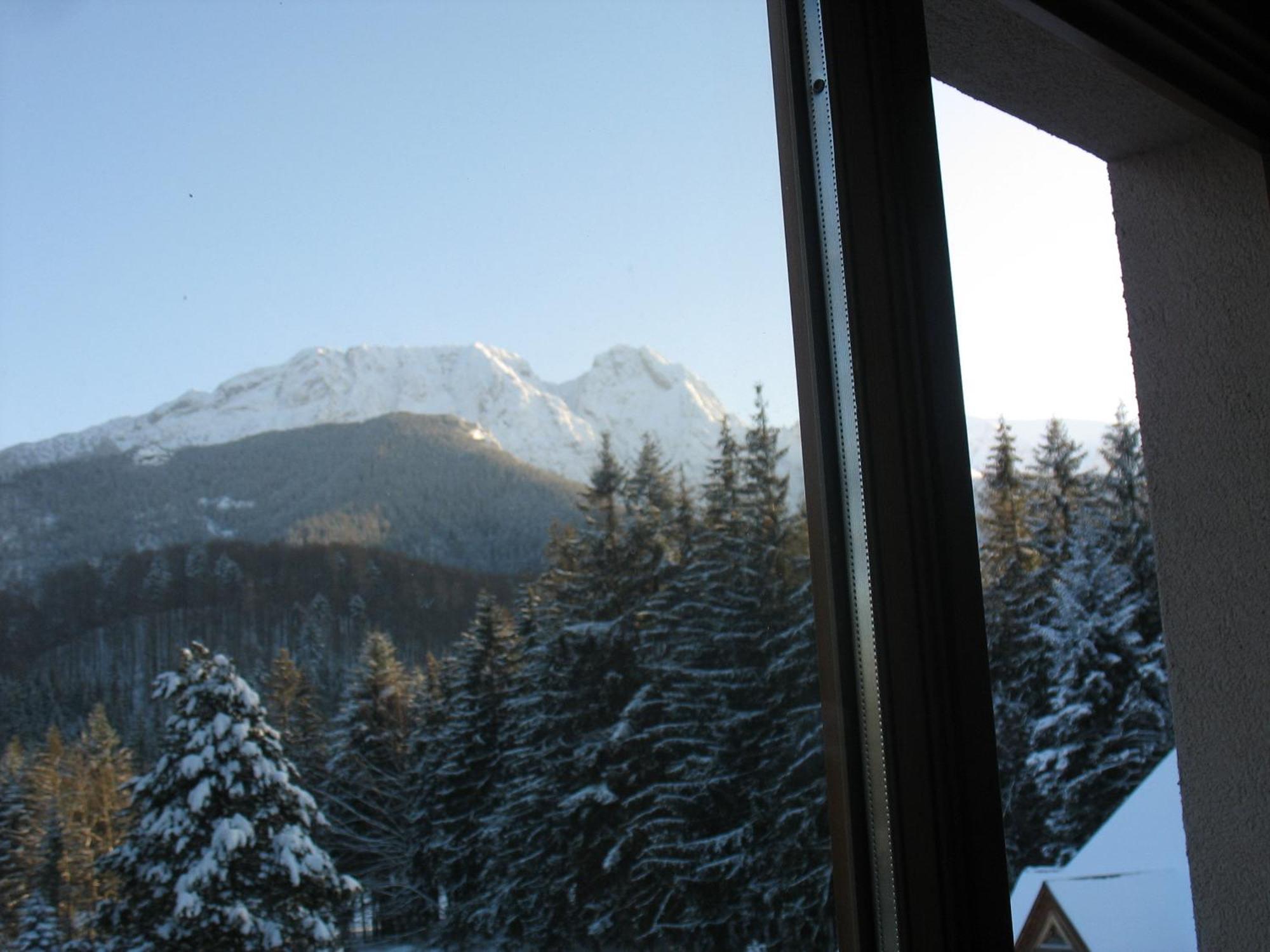 Willa Otulina Pod Giewontem Zakopane Exteriör bild