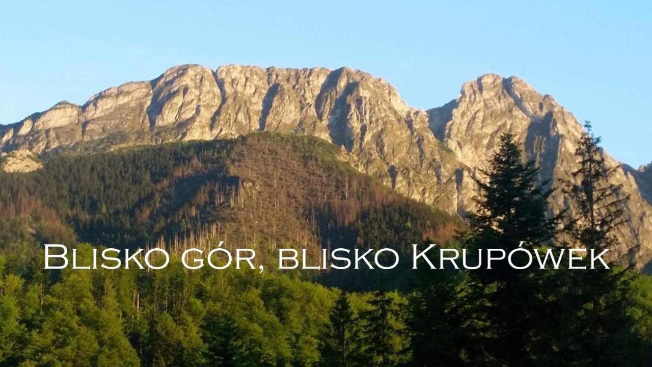 Willa Otulina Pod Giewontem Zakopane Exteriör bild
