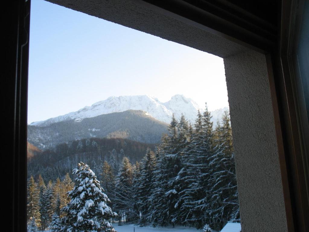 Willa Otulina Pod Giewontem Zakopane Rum bild